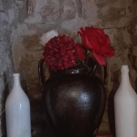 Agriturismo La Vecchia Cascina Di Paolo & Belinda Villa Pietrelcina Eksteriør billede