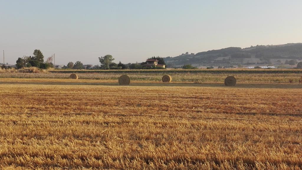 Agriturismo La Vecchia Cascina Di Paolo & Belinda Villa Pietrelcina Eksteriør billede